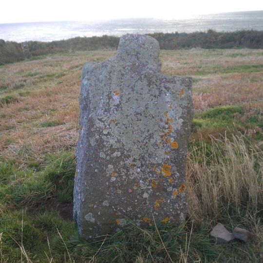 The White Lady von Ballymacaw