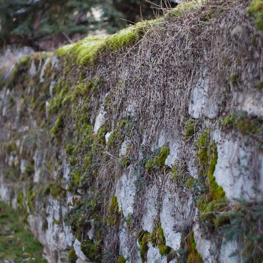Ehemalige Klosterbefestigung in Engelthal