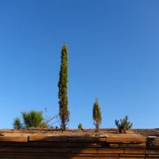 Cemetery of Montaudran