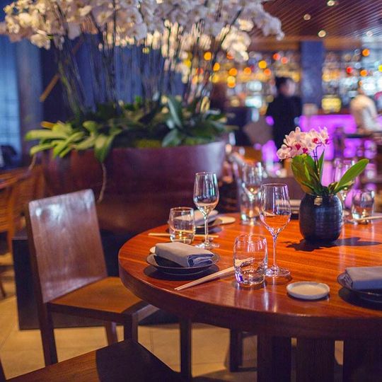 Novikov