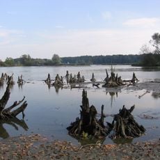 Nature Reserve Kotvice