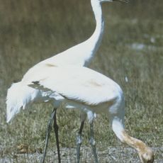 Pretty Rock National Wildlife Refuge