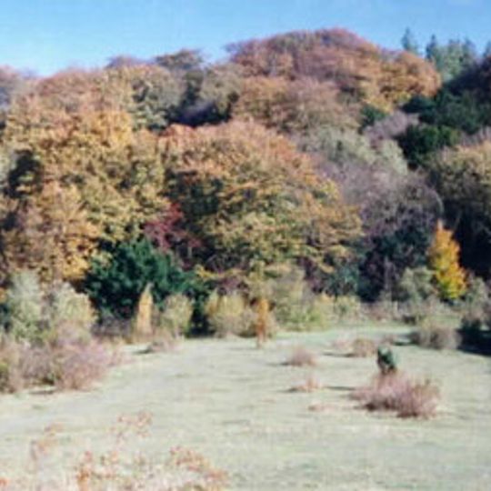 Grangelands and Pulpit Hill