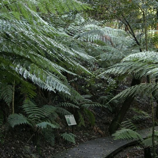 Australian National Botanic Gardens