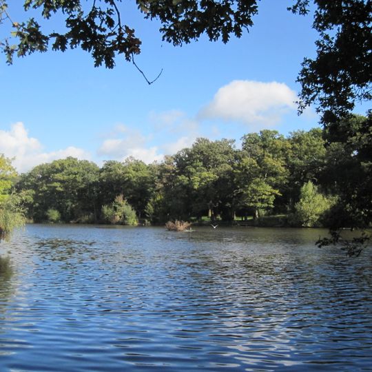 Monken Hadley Common