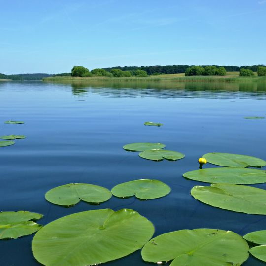Dolgener- und Hohensprenzer See - Landkreis Güstrow
