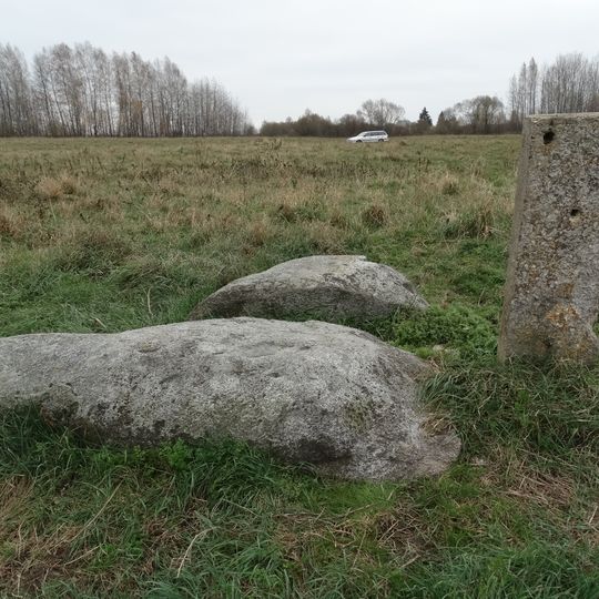 Laukagalio akmuo su žmogaus pėda