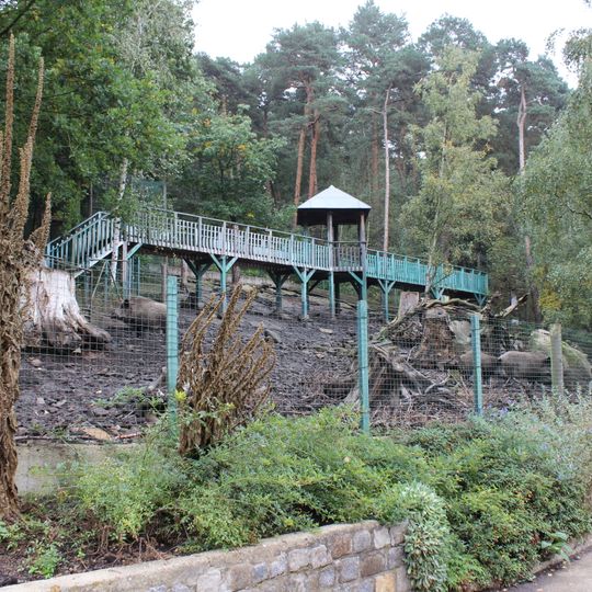 Vyhlídková lávka přes výběh divokých prasat v Zoo Děčín