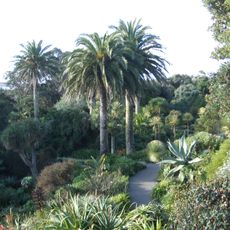 Tresco Abbey Gardens