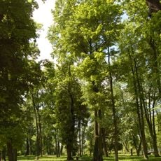 City Park in Przasnysz