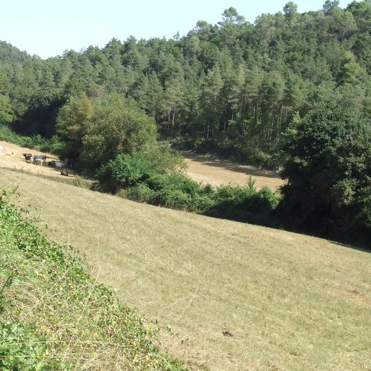 Quintana de Cal Fantasia