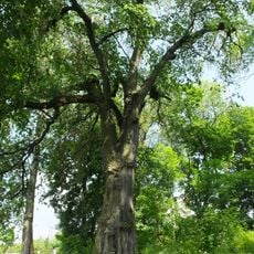 Zespół dworski w Zwoleniu