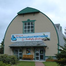 Newfoundland Insectarium
