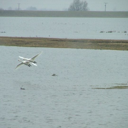 Ouse Washes