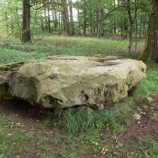 Schalenstein von Wiershausen