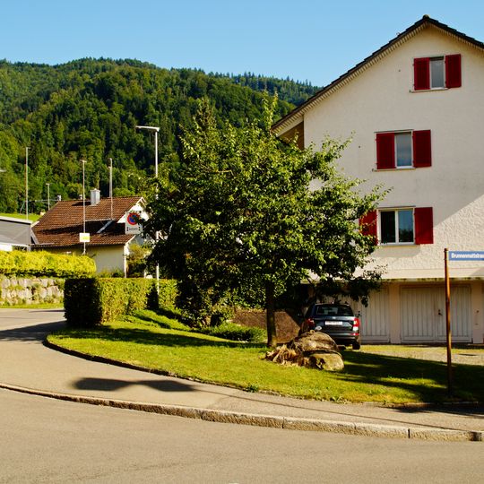 Brunnenmatt, Späteisenzeitlicher Friedhof
