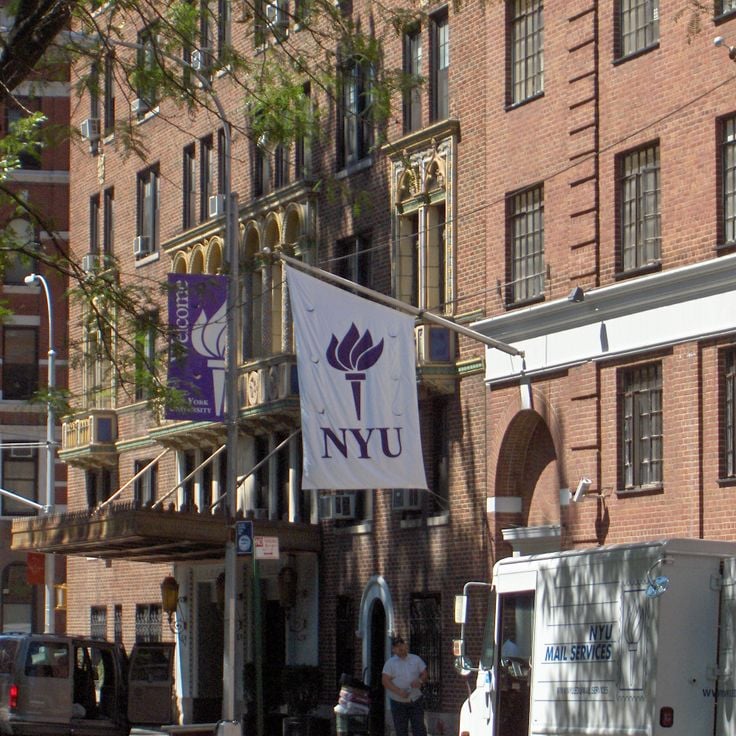 New York University