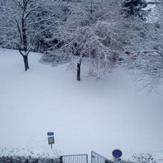Plac Bernard Frank