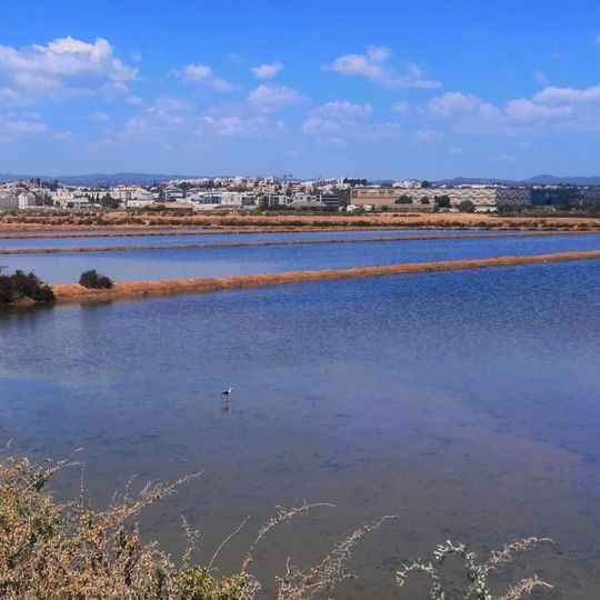 Tavira's Salt pans