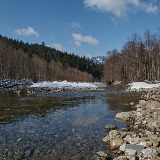 Wildflusssystem Bolgenach