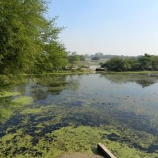Nawabganj Bird Sanctuary