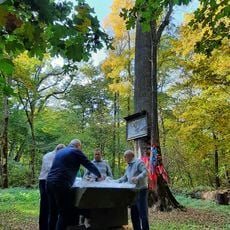 Khetag's grove