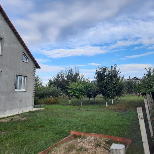 Așezare - Suruceni - IV