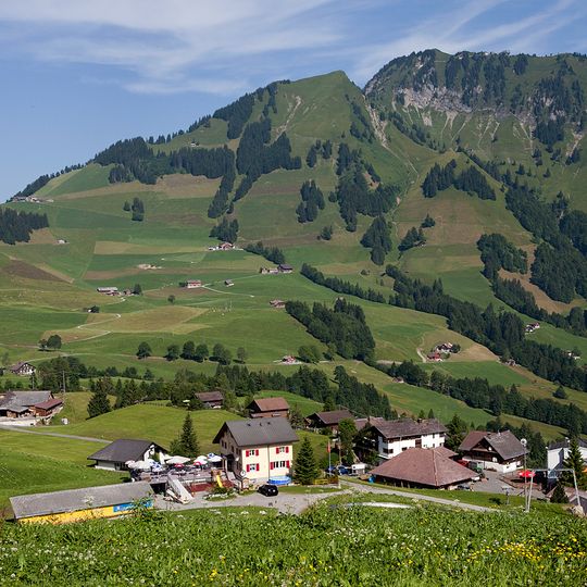 Wirzweli