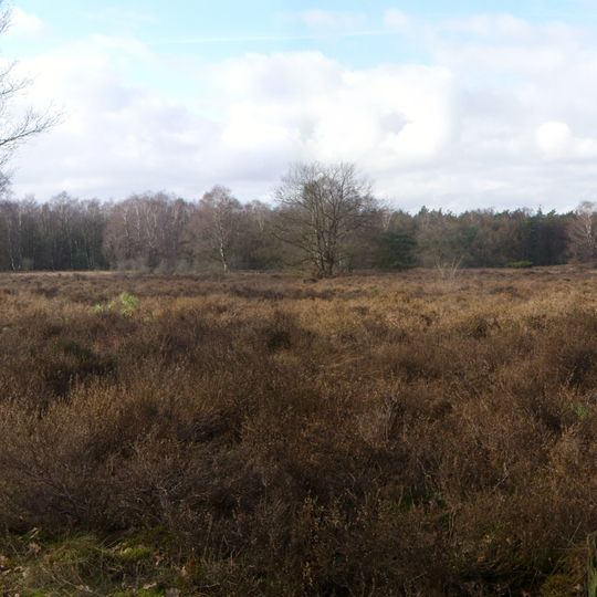 Terrein waarin 5 grafheuvels