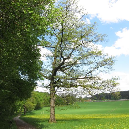 Ehemaliger Wallfahrerweg