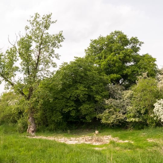 Stadenhauser Mergelkuhlen