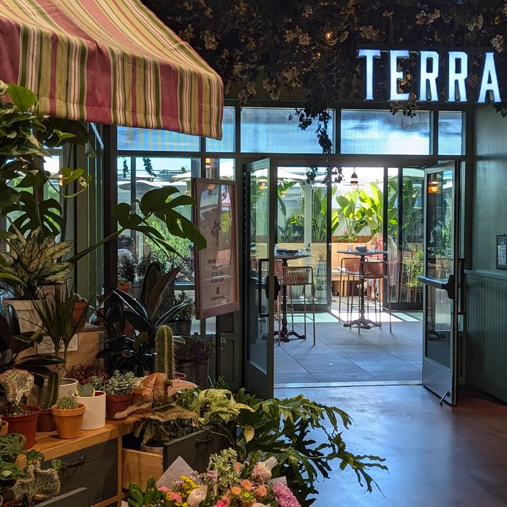 Terra bij Eataly Silicon Valley