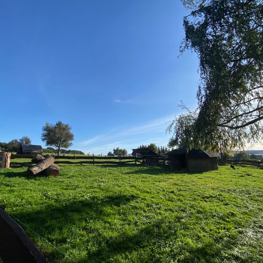 Tierisches Labyrinth