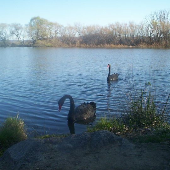 Molonglo River