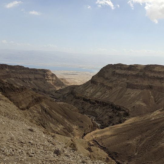 ראש מעלה נמר