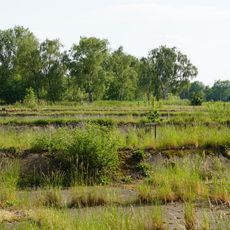 Landschaftsschutzgebiet Rieselfelder Karolinenhöhe
