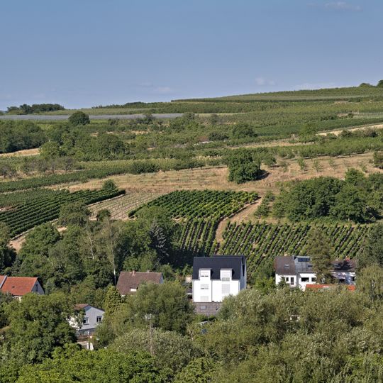 Hangflächen südöstlich Heidesheim