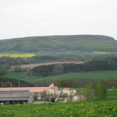 Röhringsberg