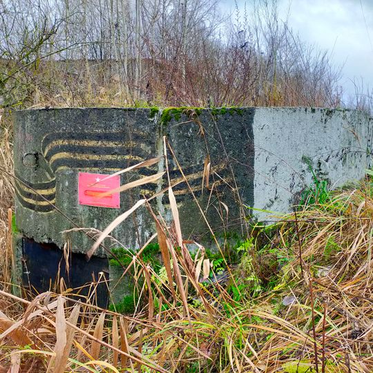 Pillbox O-17, Sofiyskaya Street
