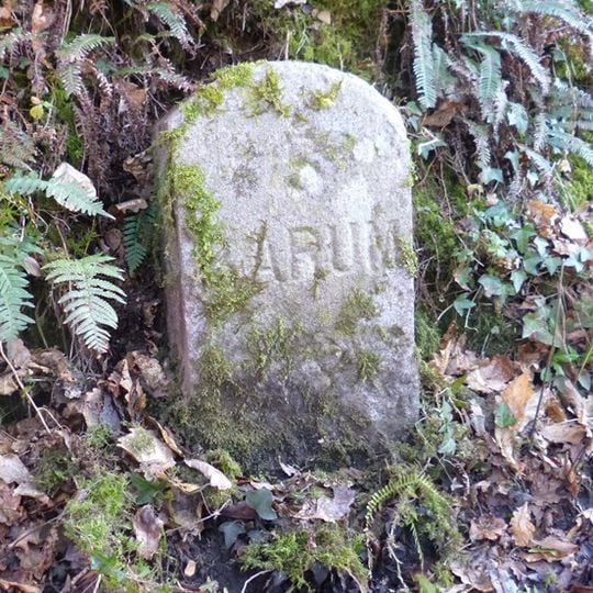 Milestone, 100m N of Loxhore bridge, N of Loxhore Cross