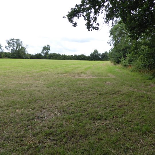 High House Meadows, Monewden