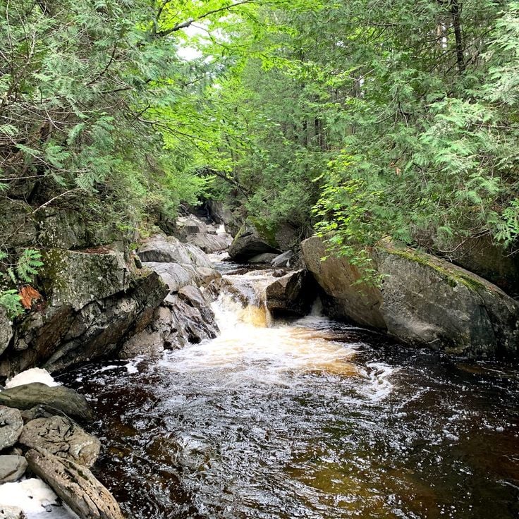 Cascade Stream Gorge Trail