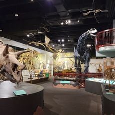 Arizona Museum of Natural History