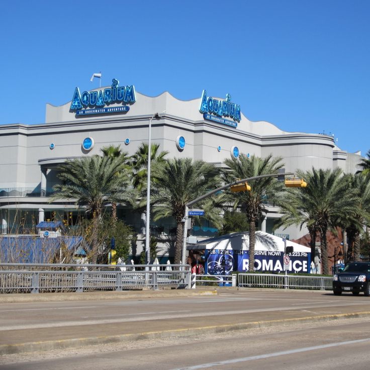Downtown Aquarium