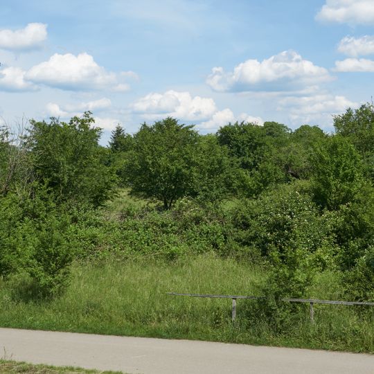 Tümpel mit Ödland und Streuobstwiese