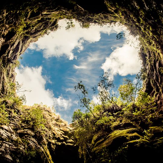 Campos Gerais National Park