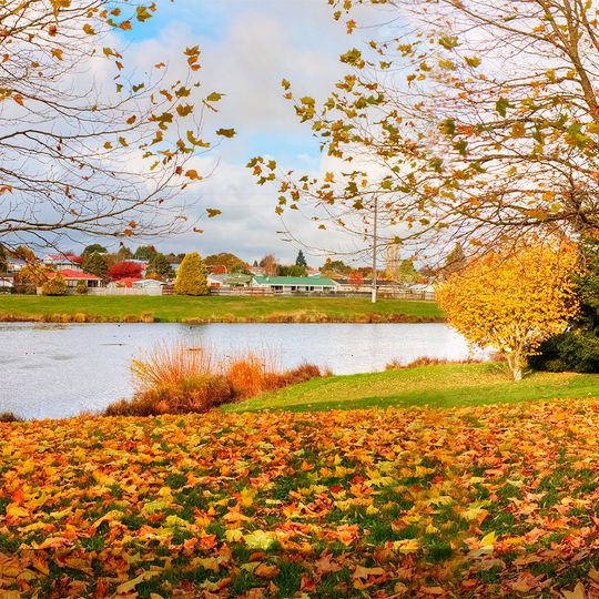 Tokoroa