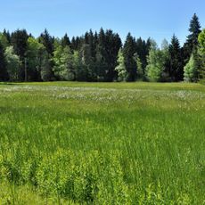 Hammermoos bei Heimenkirch