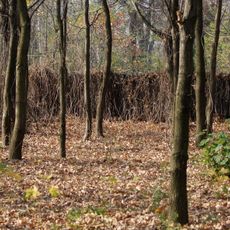 Jewish cemetery in Czechowice-Dziedzice