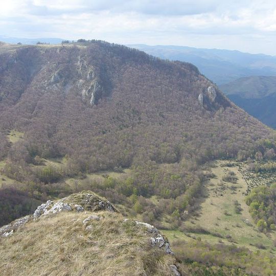 Vidalyi vörösfenyő-rezervátum